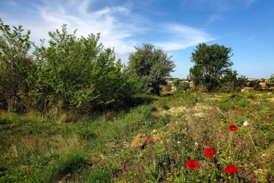 Béziers dans le 34