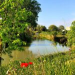 Béziers dans le 34