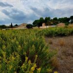 Montady dans le 34
