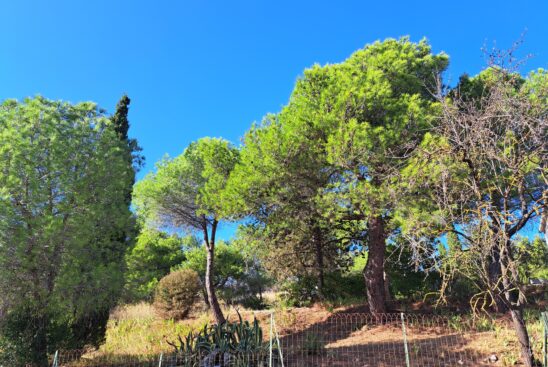 Pézenas dans le 34