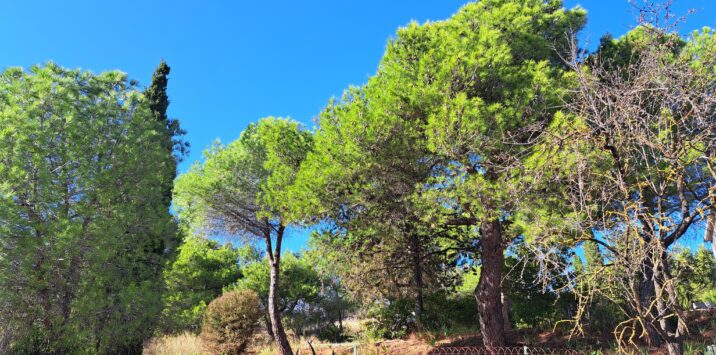 Pézenas dans le 34